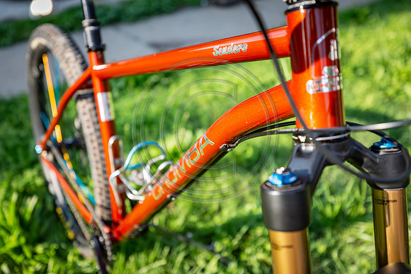 2019 DK Expo-125