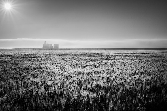 untitled-7-2