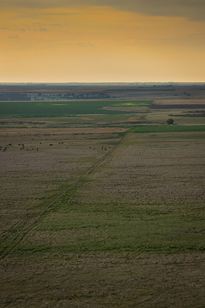 Castle Rock Prairie