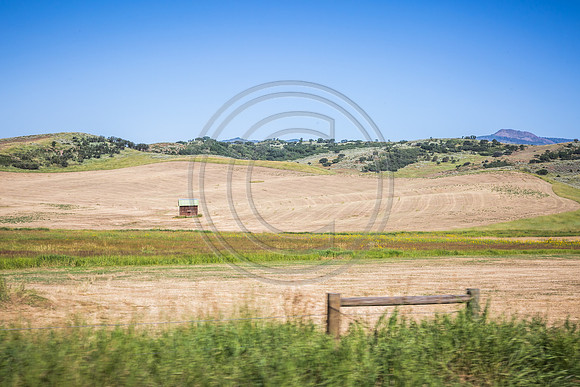 _MG_0700