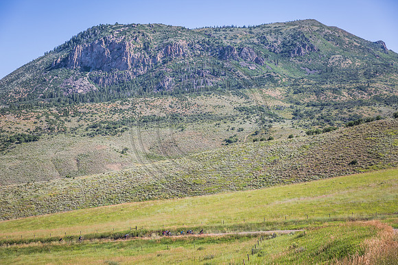 _MG_0786