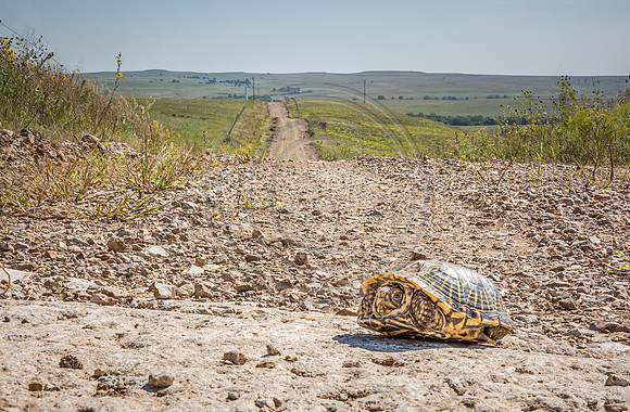 _MG_0318-Edit