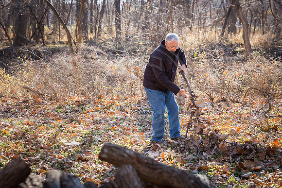 _MG_0115