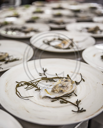 Plating Oysters