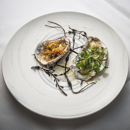 Hot and Cold Oyster