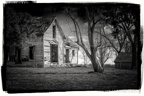 The Sapling