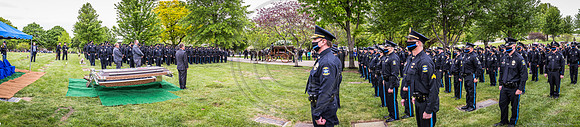 _MG_0531-Pano
