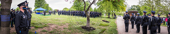 _MG_0537-Pano