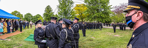 _MG_0639-Pano
