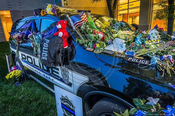 _MG_0137-Edit