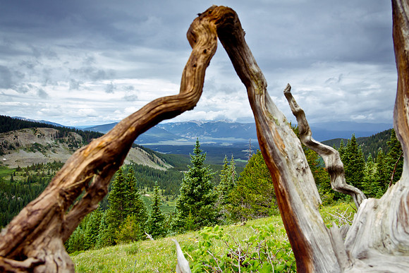 Cottonwood Pass (8 of 13)