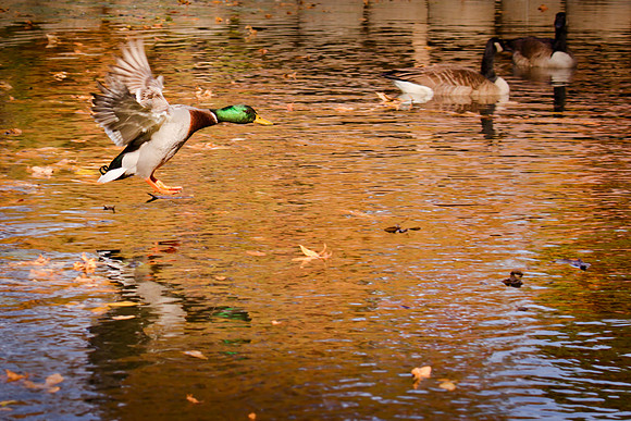 20111025 antioch park-68-101