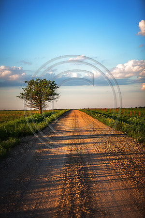 IMG_0053-Edit