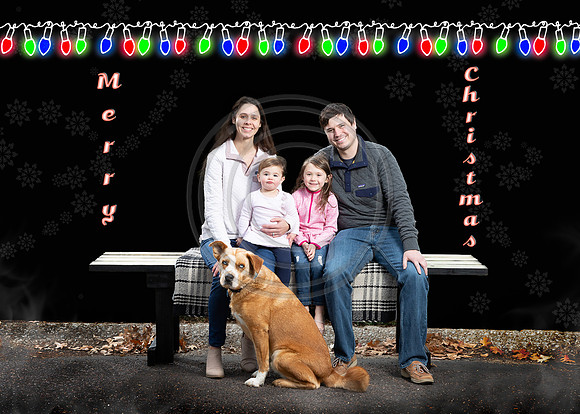 plaage christmas merry