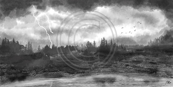 colorado pond copy