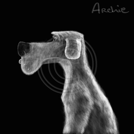 Archie dog