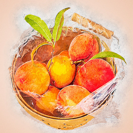 Peaches paint