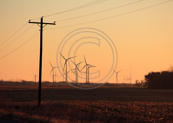 Renewable wind