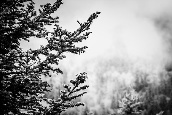 Clouds on the mountain - 2