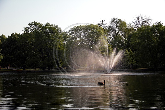 loosepark 2011may7