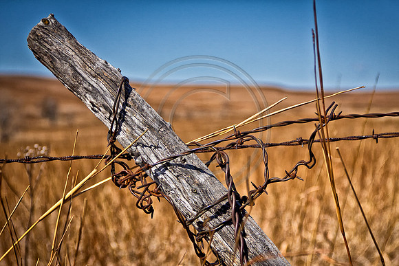 Fence