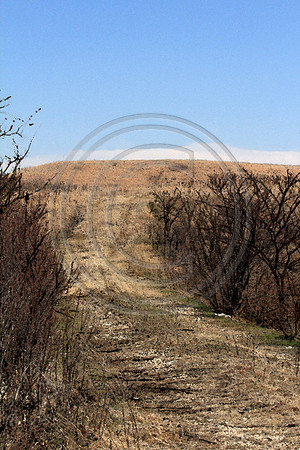 trail