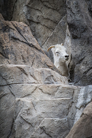 denver zoo 09082014-27