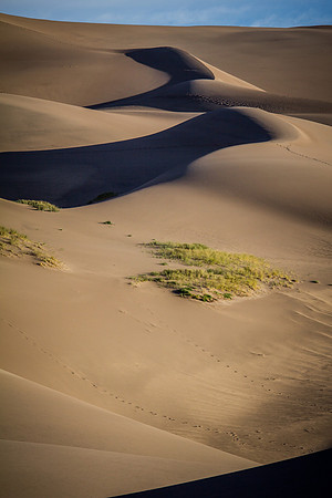 The Great Sand Dunes National Park 09042014-21