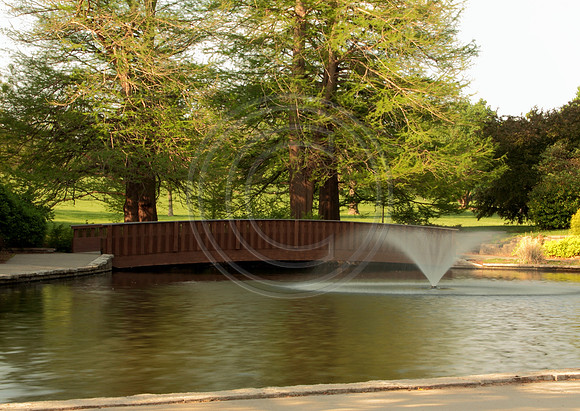 loosepark 2011may5