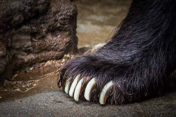 denver zoo 09082014-28