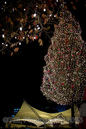 crown center-2