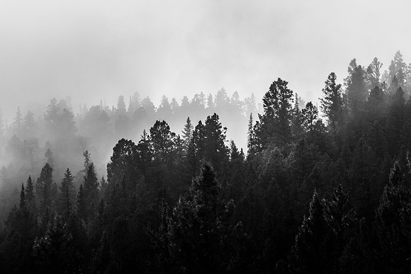Clouds on the mountain - 5