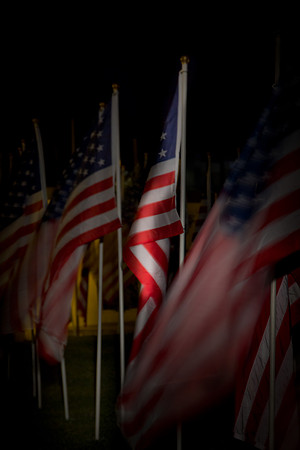 Flags in the Dark