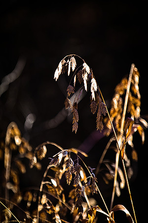 december winter-119-294