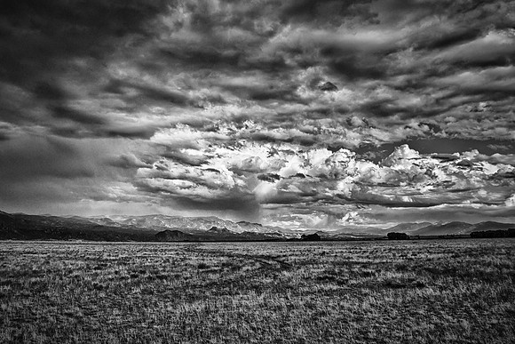 Buena Vista black white rodeo road