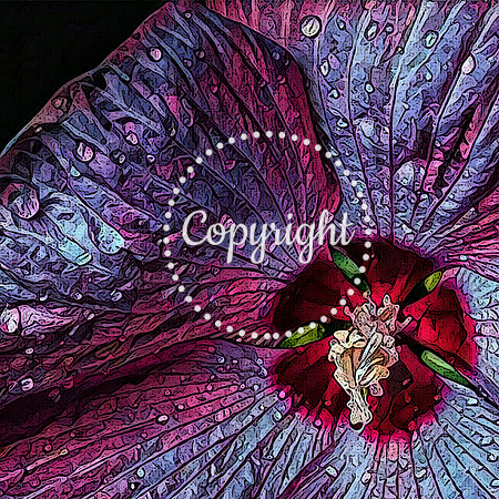 Hibiscus