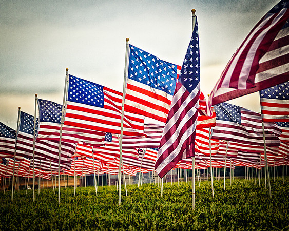 Memorial Day Flags