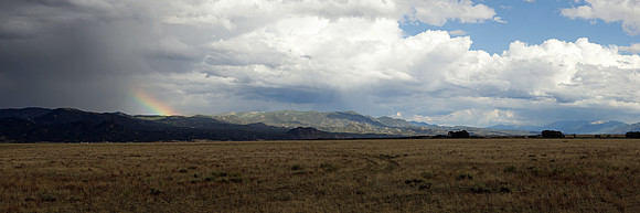 Buena Vista Rainbow 12x36
