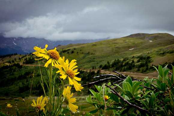 Cottonwood Pass (2 of 13)