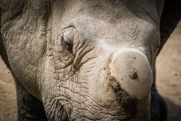 denver zoo 09082014-18