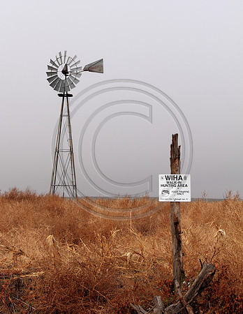 Wakeeney Wind