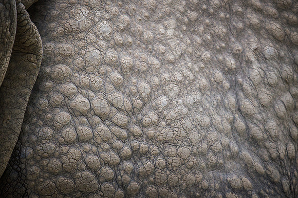 denver zoo 09082014-19