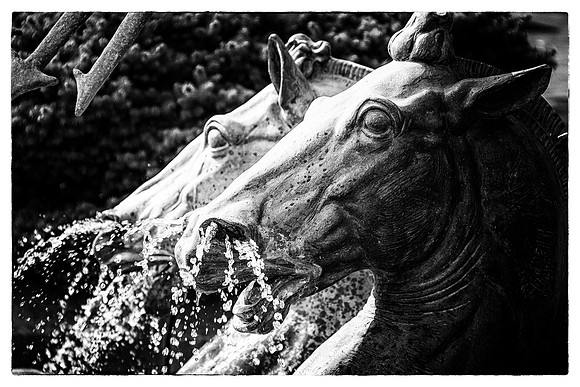 IMG_0096-Edit-2
