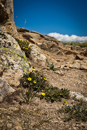 Independence Pass - Twin Lakes-3