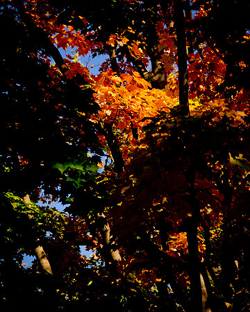 fall colors-4