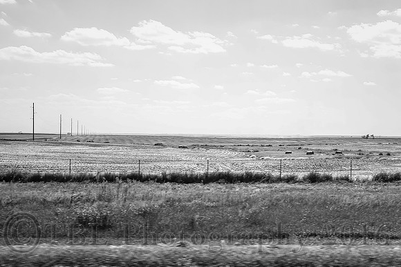 Out of the Car Window
