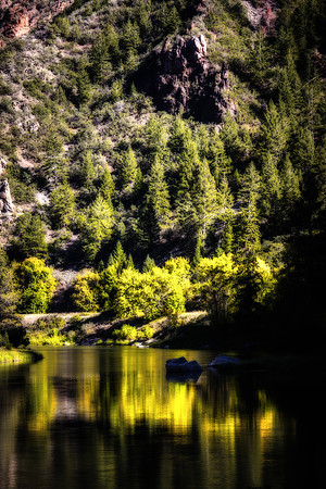 Gunnison yellow