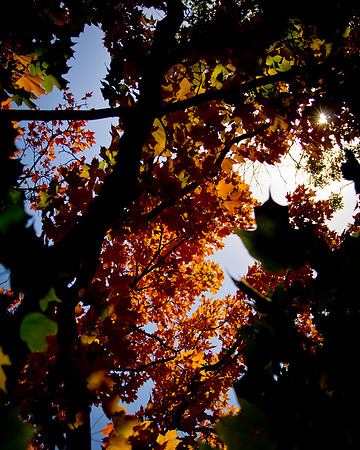 fall colors-3