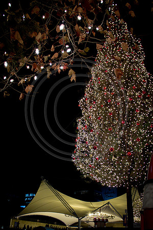 crown center-2