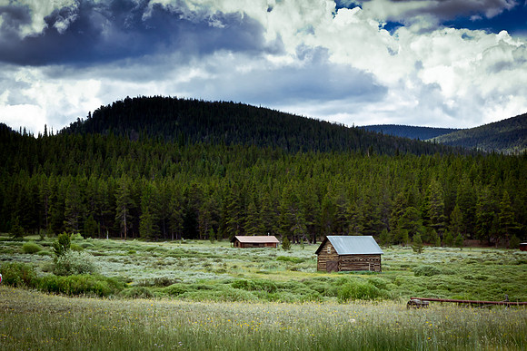 Tin Cup (5 of 6)